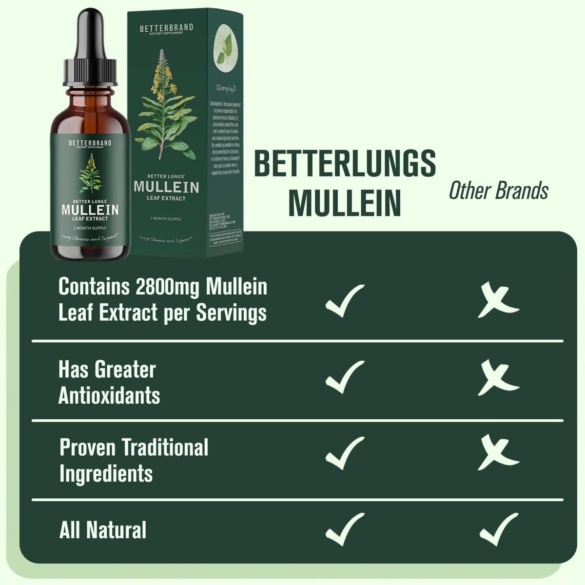 Mullein Detox Drops