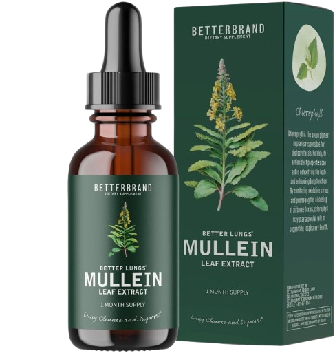 Mullein Detox Drops