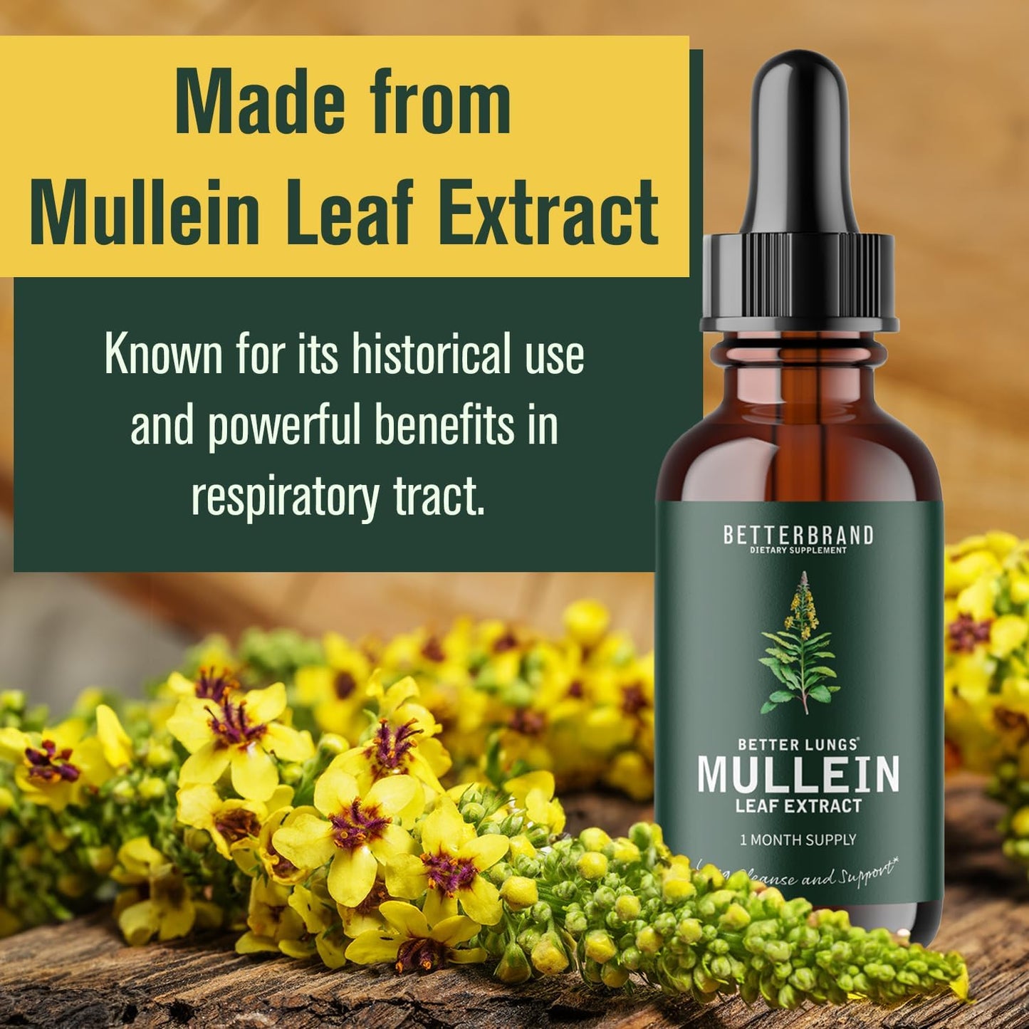 Mullein Detox Drops