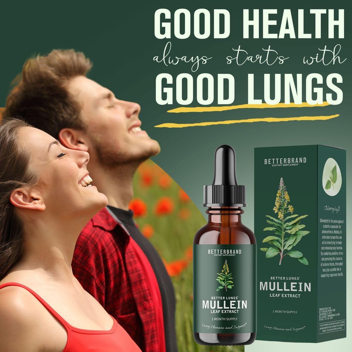 Mullein Detox Drops